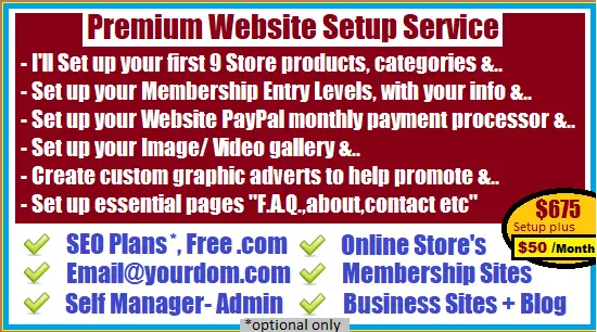 website-store-setup-service.webp